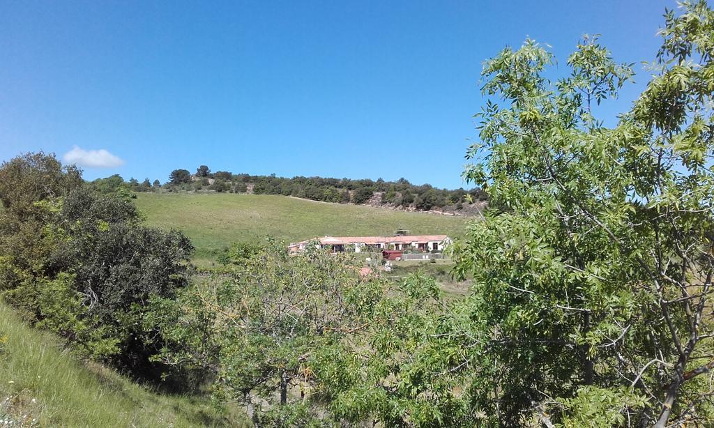 Gites "Entre Les Vignes" Tourreilles ภายนอก รูปภาพ