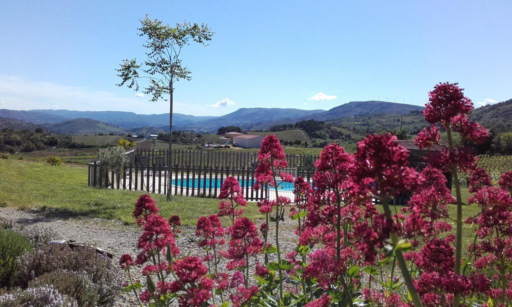 Gites "Entre Les Vignes" Tourreilles ภายนอก รูปภาพ